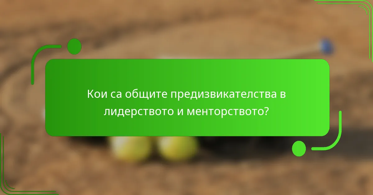 Кои са общите предизвикателства в лидерството и менторството?