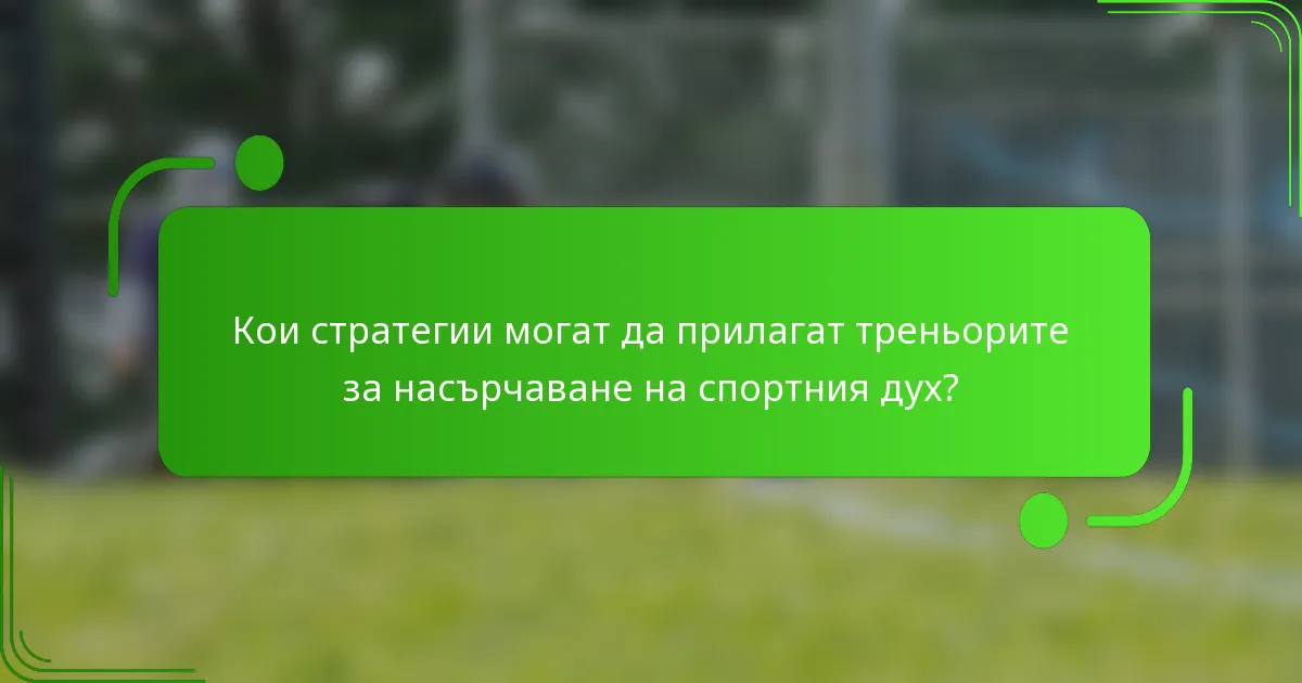 Кои стратегии могат да прилагат треньорите за насърчаване на спортния дух?
